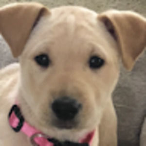 Meet your Posher, Marilyn